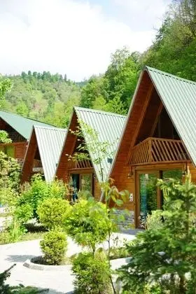 superior bungalov