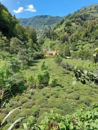 Villa, 2 Yatak Odası
