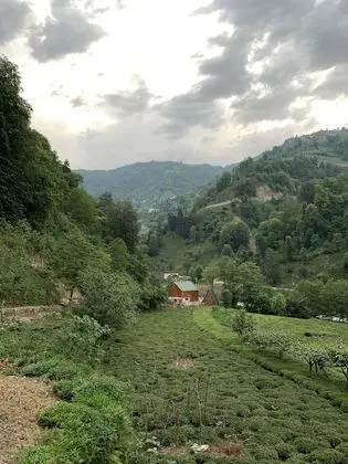 Villa, 2 Yatak Odası