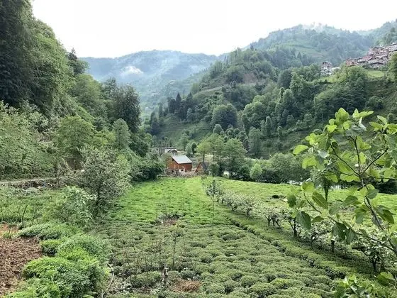 Villa, 2 Yatak Odası