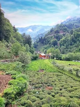 Villa, 2 Yatak Odası