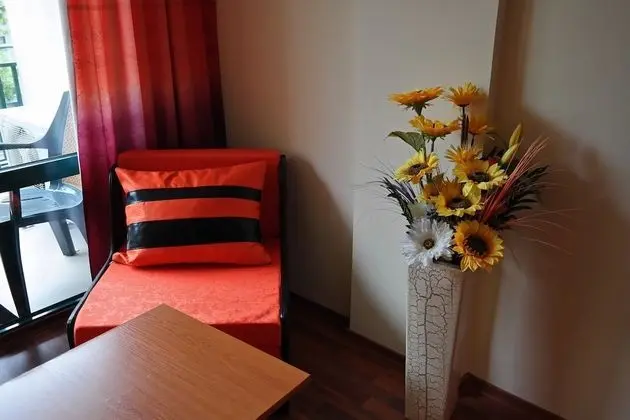 Standard Tek Büyük Yataklı Oda, Balkon, Şehir Manzaralı