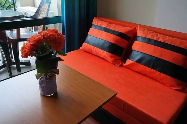 Standard Tek Büyük Yataklı Oda, Balkon, Şehir Manzaralı