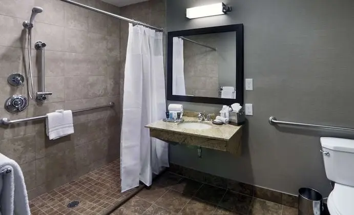 Standard Oda, 1 Büyük (Queen) Boy Yatak, Engellilere Uygun (Mobility & Hearing, Roll-in Shower)