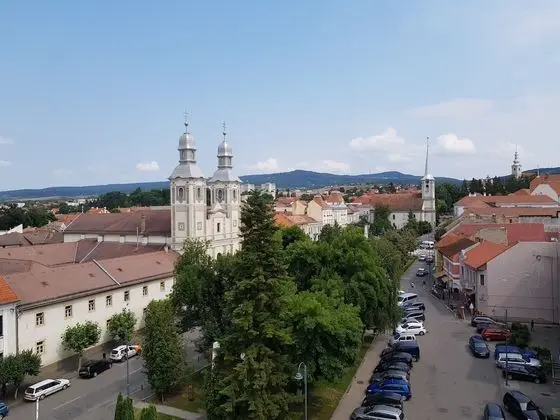 Standard Tek Büyük veya İki Ayrı Yataklı Oda, 2 Tek Kişilik Yatak