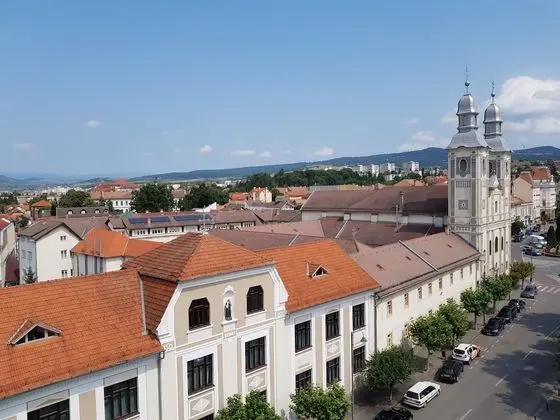 Superior Tek Büyük veya İki Ayrı Yataklı Oda