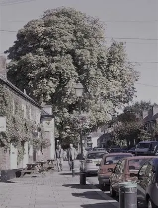 Ev, Birden Çok Yatak