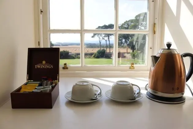 Tek Büyük Yataklı Oda, Bahçe Manzaralı (Balvenie)