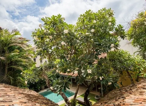 Premier Garden View Room