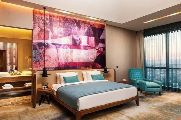 Executive Suite,Şehir veya Dağ Manzaralı,Jakuzili