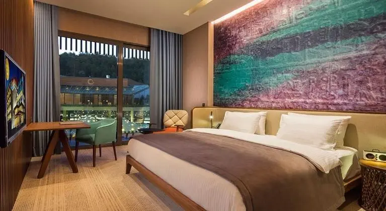 Premium Room,Kısmi Orman ve İç Bahçe Manzaralı,Balkonlu