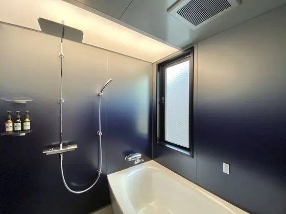 Deluxe Tek Büyük Yataklı Oda, Sigara İçilmez