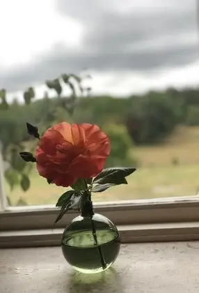 Double Room with own bathroom