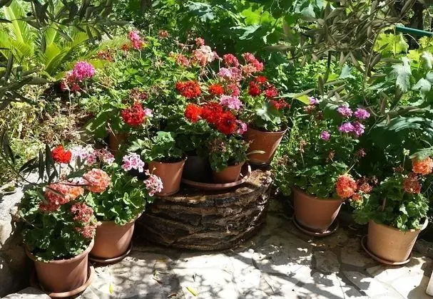 Apart Daire (Tatjana - 300 m from beach - A1(2+2))