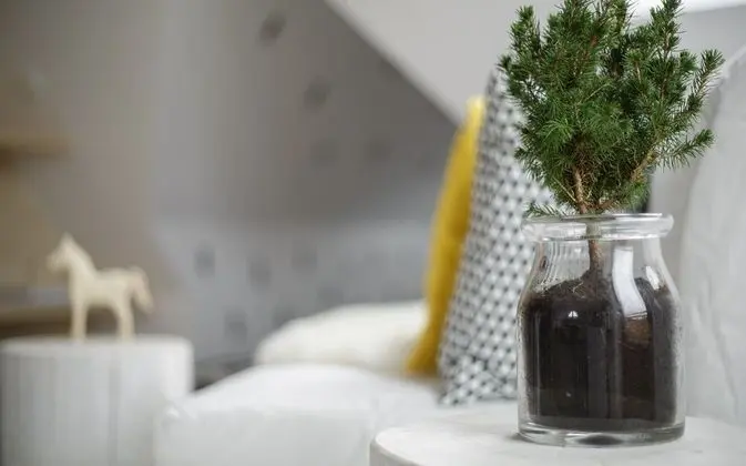 Zakopianskie Tarasy 19C