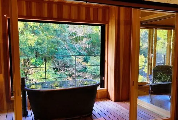 Standard Oda, Sigara İçilmez, Nehir Manzaralı (Japanese Style with Open-air-bath)
