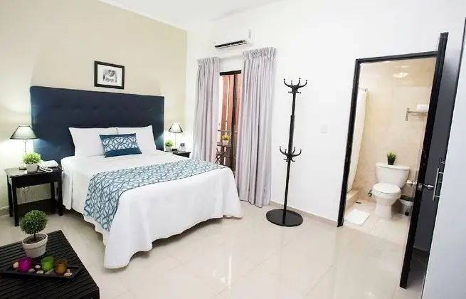 Superior Tek Büyük Yataklı Oda, 1 Yatak Odası, Balkon