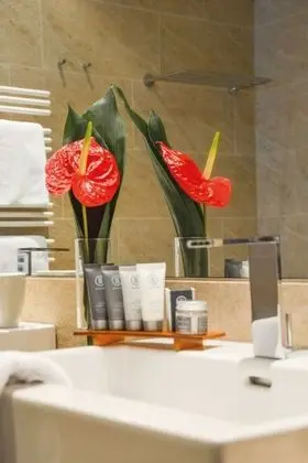 Panoramic Tek Büyük Yataklı Oda, Balkon (Deluxe incl. SPA entrance)