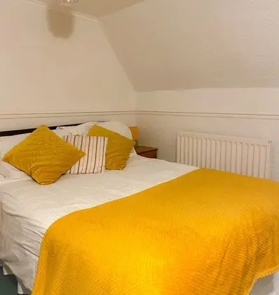 Tek Büyük Yataklı Oda, Banyolu/Duşlu ((Room 6))