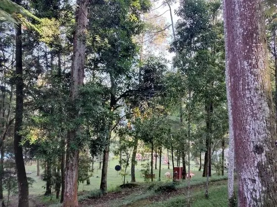 Kır Evi (C)