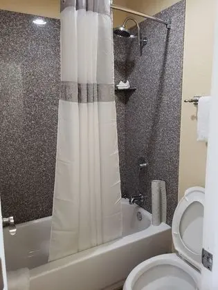 Standard Tek Kişilik Oda, 1 En Büyük (King) Boy Yatak