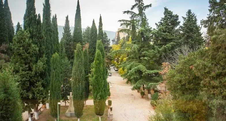 Family Oda, Bahçe Manzaralı