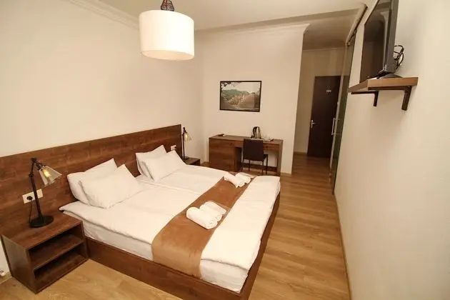 Superior İki Ayrı Yataklı Oda, Şehir Manzaralı