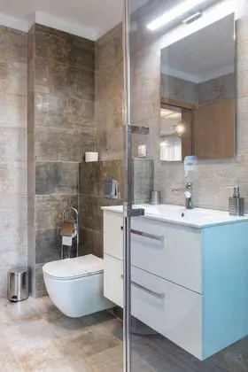 Apart Daire, 1 Yatak Odası (Industrial)