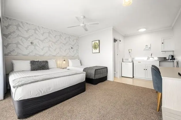 Comfort Stüdyo, Birden Çok Yatak, Sigara İçilmez