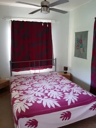 Economy Tek Büyük Yataklı Oda (Hibiscus)