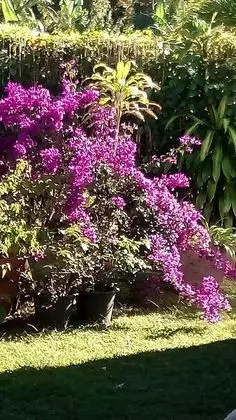 Superior Villa, 2 Yatak Odası, Engellilere Uygun, Bahçe Manzaralı