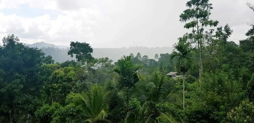 Tek Büyük Yataklı Oda, Birden Çok Yatak, Sigara İçilebilir, Tepe Manzaralı