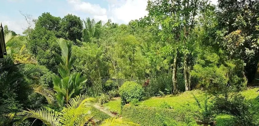 Üç Kişilik Oda, 1 Yatak Odası, Tepe Manzaralı, Havuz Kenarı