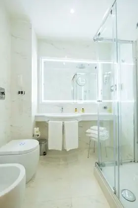 Deluxe Tek Büyük veya İki Ayrı Yataklı Oda
