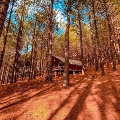 Deluxe Kulübe, Kısmi Göl Manzaralı