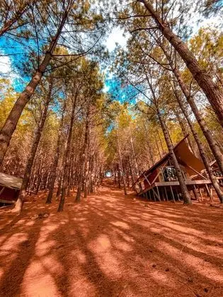 Romantic Kulübe, 1 Büyük (Queen) Boy Yatak, Göl Manzaralı