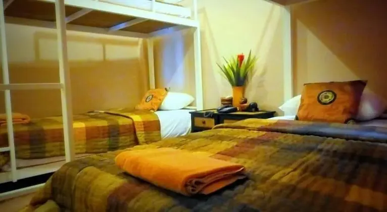 1 Bed In 4 Bed Mixed Dorm (Fan)