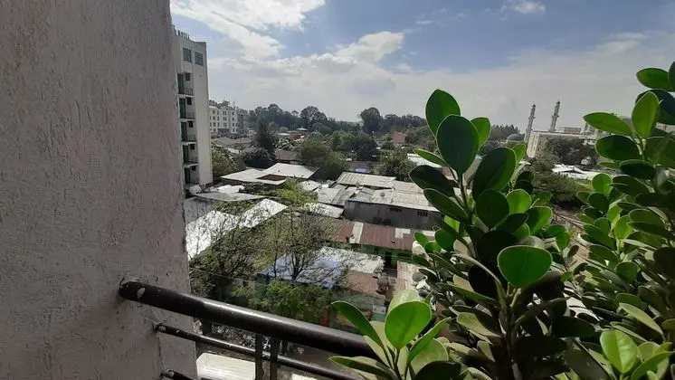 Deluxe Tek Kişilik Oda, Balkon, Şehir Manzaralı