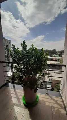 Deluxe Tek Kişilik Oda, Balkon, Şehir Manzaralı