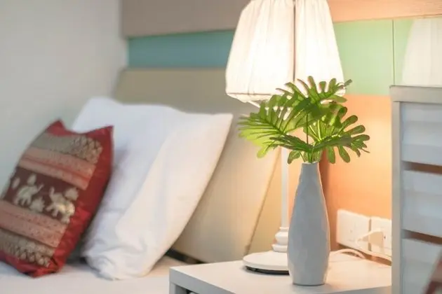Three Bedroom Apartment