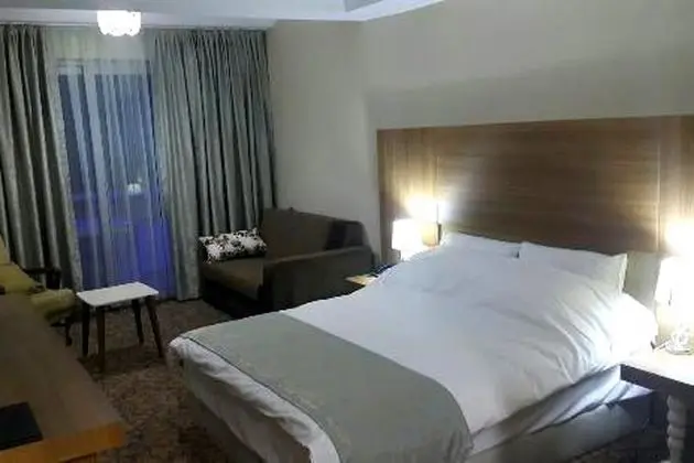 Dağ Manzaralı Oda
