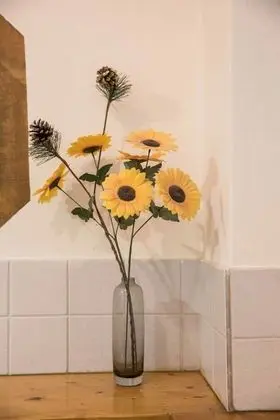 Tek Büyük veya İki Ayrı Yataklı Oda, Özel Banyo