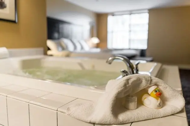 Luxury Oda, 1 En Büyük (King) Boy Yatak (Executive Room, 1 King Bed)