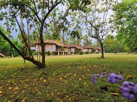 Deluxe Tek Büyük veya İki Ayrı Yataklı Oda, Resort Manzaralı