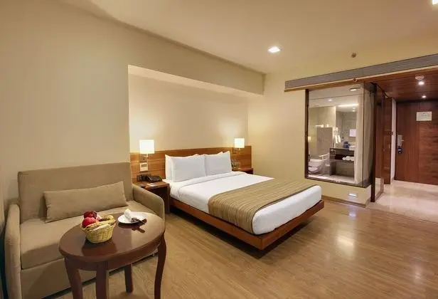 Deluxe Tek Büyük Yataklı Oda, Şehir Manzaralı