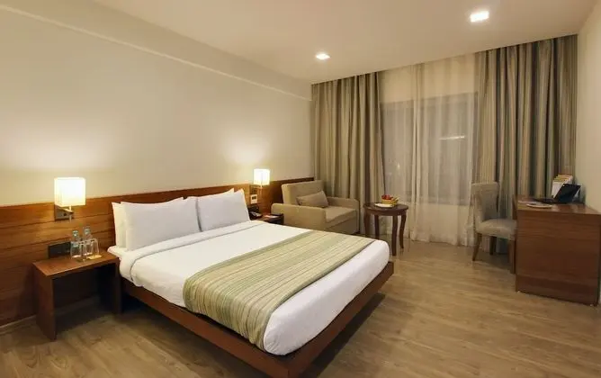 Deluxe Tek Büyük Yataklı Oda, Şehir Manzaralı