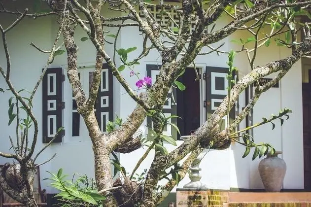 Basic Villa