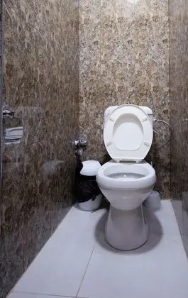 Ortak Ranzalı Oda, Sadece erkekler için (1 Bed in 4 Person Dorm)