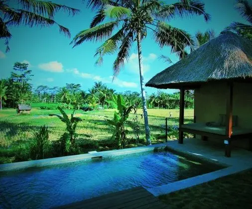 Pool Villa with Rice Field View and Complimentary Afternoon Tea