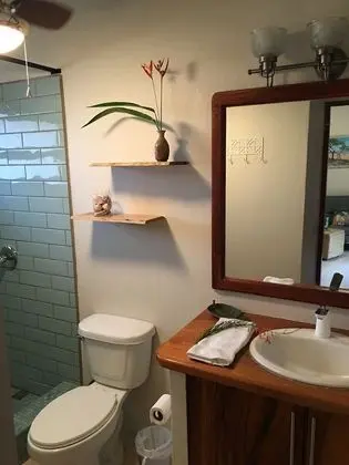 One Bedroom Apartment w/Balcony